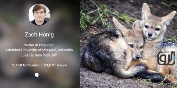 گوگل پلاس به صفحات پروفایل شمارنده بازدید اضافه کرد